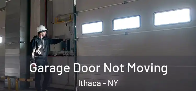  Garage Door Not Moving Ithaca - NY