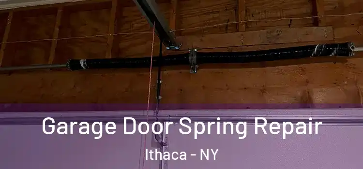  Garage Door Spring Repair Ithaca - NY
