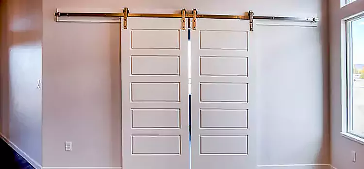 Glass Barn Door with Installation Hardware Kit Ithaca
