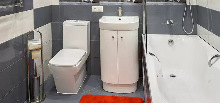 Hansgrohe Shaving Mirror Ithaca
