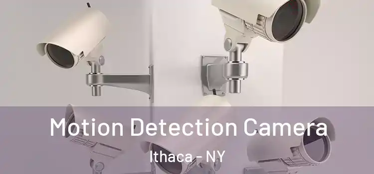  Motion Detection Camera Ithaca - NY